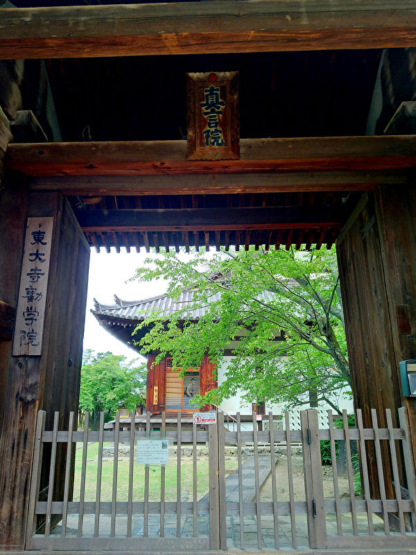 Chân Ngôn Viện, tương truyền do nhà sư Không Hải, chưởng quản chùa Đông Đại sáng lập. (Ảnh: Vương Gia Ích/Epoch Times)