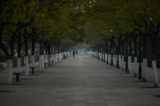 Thành phố Vũ Hán hôm 21/01/2023, tình hình dịch bệnh vẫn chưa lắng xuống, công viên thưa thớt người đi lại. Do dịch bệnh nên rất nhiều người hạn chế ra ngoài trong dịp Tết Nguyên Đán 2023. (Ảnh: Hector Retamal/AFP)