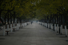 Thành phố Vũ Hán hôm 21/01/2023, tình hình dịch bệnh vẫn chưa lắng xuống, công viên thưa thớt người đi lại. Do dịch bệnh nên rất nhiều người hạn chế ra ngoài trong dịp Tết Nguyên Đán 2023. (Ảnh: Hector Retamal/AFP)