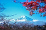 Núi Phú Sĩ là đỉnh núi cao nhất và là biểu tượng văn hóa của Nhật Bản. (Ảnh: Shutterstock)
