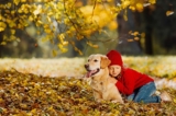 Một cô bé 2 tuổi ở tiểu bang Michigan, Hoa Kỳ, bị lạc trong rừng, được phát hiện đang nằm ngủ gối đầu lên người chú chó nhỏ. Hình ảnh một cô bé dựa sát vào một chú chó nhỏ. Đây là hình ảnh minh họa, không phải nhân vật được viết trong bài. (Ảnh: Shutterstock)