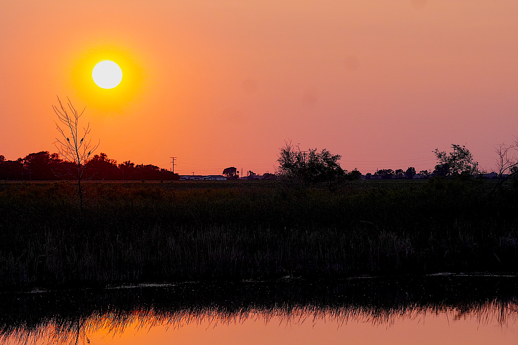 Hoàng hôn trên nông trại ở Groton, South Dakota vào ngày 10/06/2023. (Ảnh: Allan Stein/The Epoch Times)