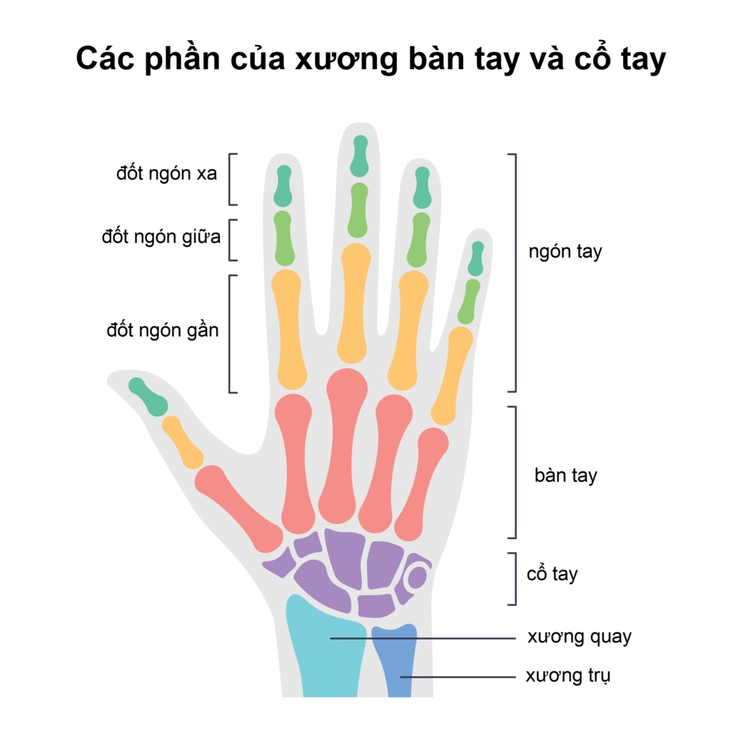 6 bài tập giảm đau bàn tay kinh niên