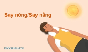 Hướng dẫn cơ bản về say nóng: Triệu chứng, nguyên nhân, phương pháp điều trị và phòng ngừa