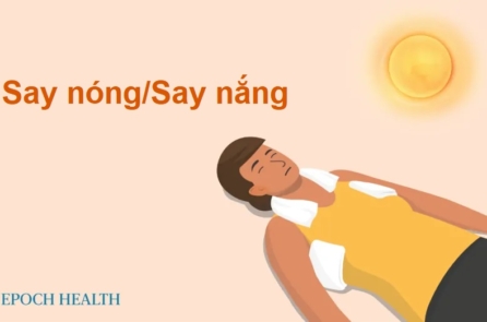 Hướng dẫn cơ bản về say nóng: Triệu chứng, nguyên nhân, phương pháp điều trị và phòng ngừa