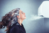 (Ảnh: alphaspirit.it/Shutterstock)