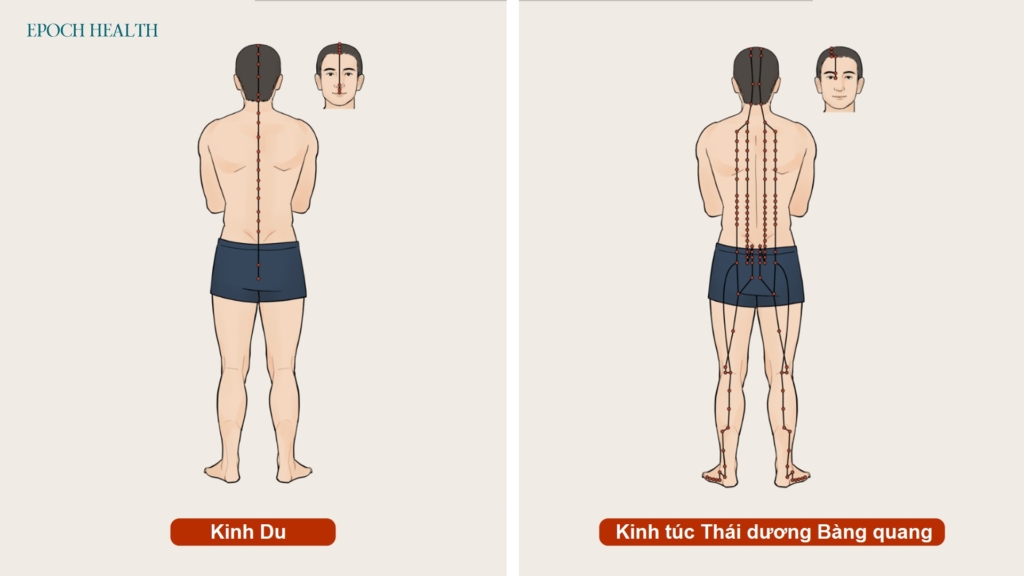 Ba huyệt vị giúp giảm khó chịu do máy điều hòa không khí