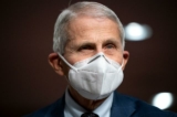 Tiến sĩ Anthony Fauci, cố vấn y tế trưởng của Tổng thống Joe Biden và giám đốc Viện Dị ứng và Bệnh Truyền nhiễm Quốc gia, chuẩn bị điều trần trước hội đồng Thượng viện ở Hoa Thịnh Đốn vào ngày 11/01/2022. (Ảnh: Greg Nash/Pool/AFP qua Getty Images)