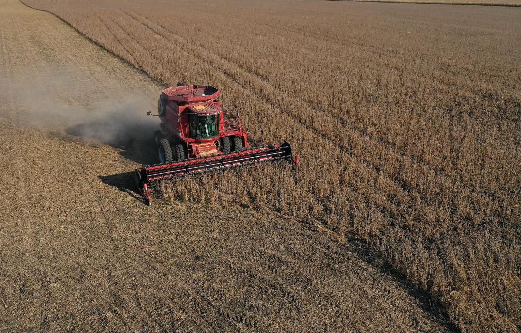 Một cảnh nhìn trên cao từ phi cơ không người lái cho thấy một máy liên hợp đang được sử dụng để thu hoạch đậu nành trên một cánh đồng ở Rippey, Iowa, vào ngày 14/10/2019. (Ảnh: Joe Raedle/Getty Images)