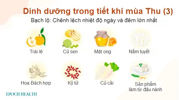 Đơn thuốc dưỡng phổi và tăng sức đề kháng cho cơ thể trong mùa Thu