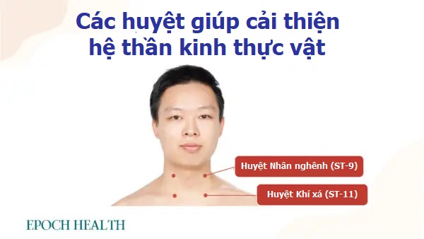 Có nên dùng thuốc ngủ? Các bài thuốc cổ xưa chữa mất ngủ do rối loạn thần kinh thực vật