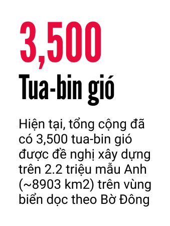 Tua-bin gió có hại chết những động vật hữu nhũ nặng 100,000 pound này không?