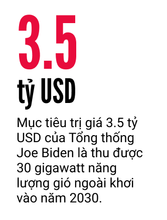 Tua-bin gió có hại chết những động vật hữu nhũ nặng 100,000 pound này không?