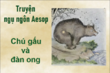 Truyện ngụ ngôn Aesop: Chú gấu và đàn ong