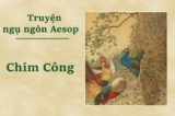 Truyện ngụ ngôn Aesop: Chim Công