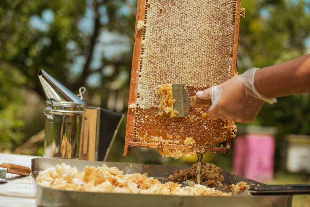 Mật ong thô chứa nhiều dinh dưỡng hơn so với mật ong tiệt trùng. (Ảnh: nata-lunata/Shutterstock)