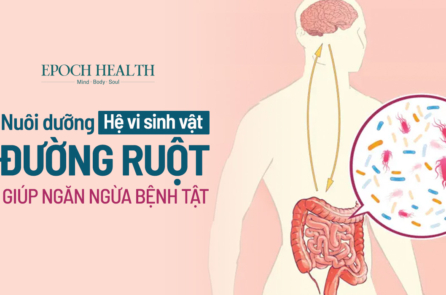 Nuôi dưỡng hệ vi sinh vật đường ruột giúp ngăn ngừa bệnh tật