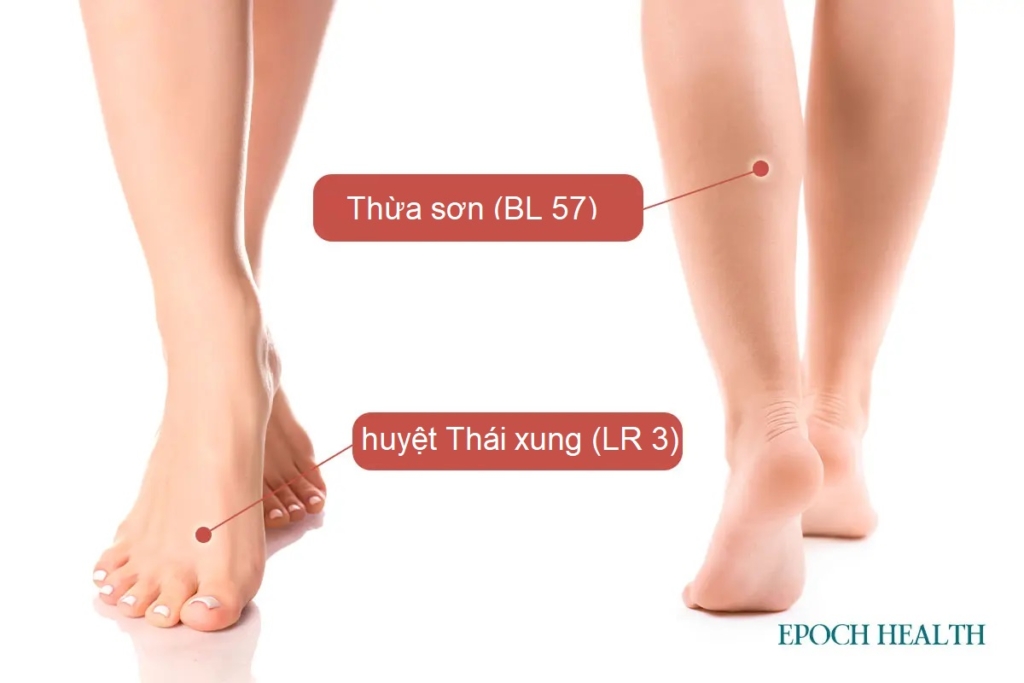 Bạn chưa biết cách điều trị giãn tĩnh mạch chi dưới? Trung y có giải pháp