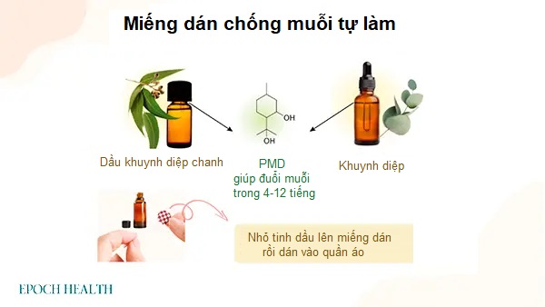 Thuốc thảo dược tự làm để đuổi muỗi và bọ ve