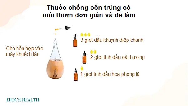 Thuốc thảo dược tự làm để đuổi muỗi và bọ ve