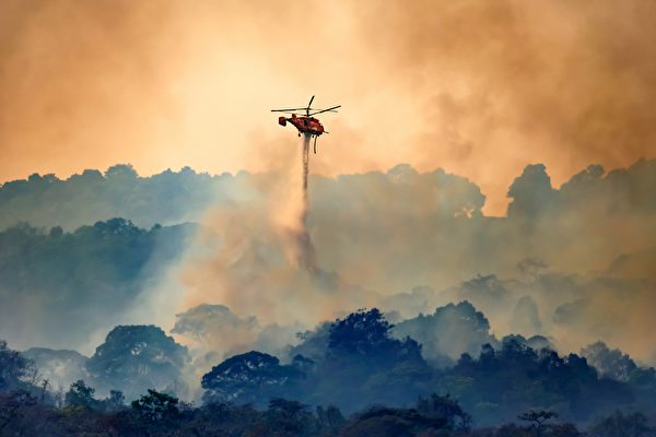 Trực thăng chữa cháy rừng. (Ảnh: Shutterstock)