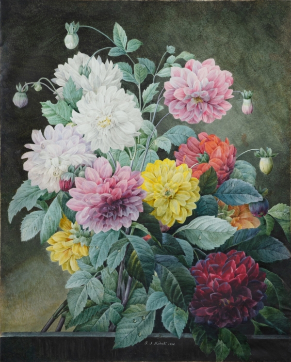 Bức tranh “A Bouquet of Flowers” (Một bó hoa), năm 1834, của họa sĩ Pierre-Joseph Redouté. Màu nước trên giấy da; kích thước 27 3/8 inches by 22 inches (~70cm x 56cm). Bộ sưu tập Tư nhân. (Ảnh: Tài liệu công cộng)