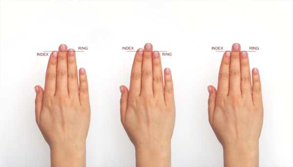 Chiều dài ngón tay có thể tiết lộ lượng testosterone bạn đã tiếp xúc khi còn trong tử cung. (Ảnh: logika600/Shutterstock)