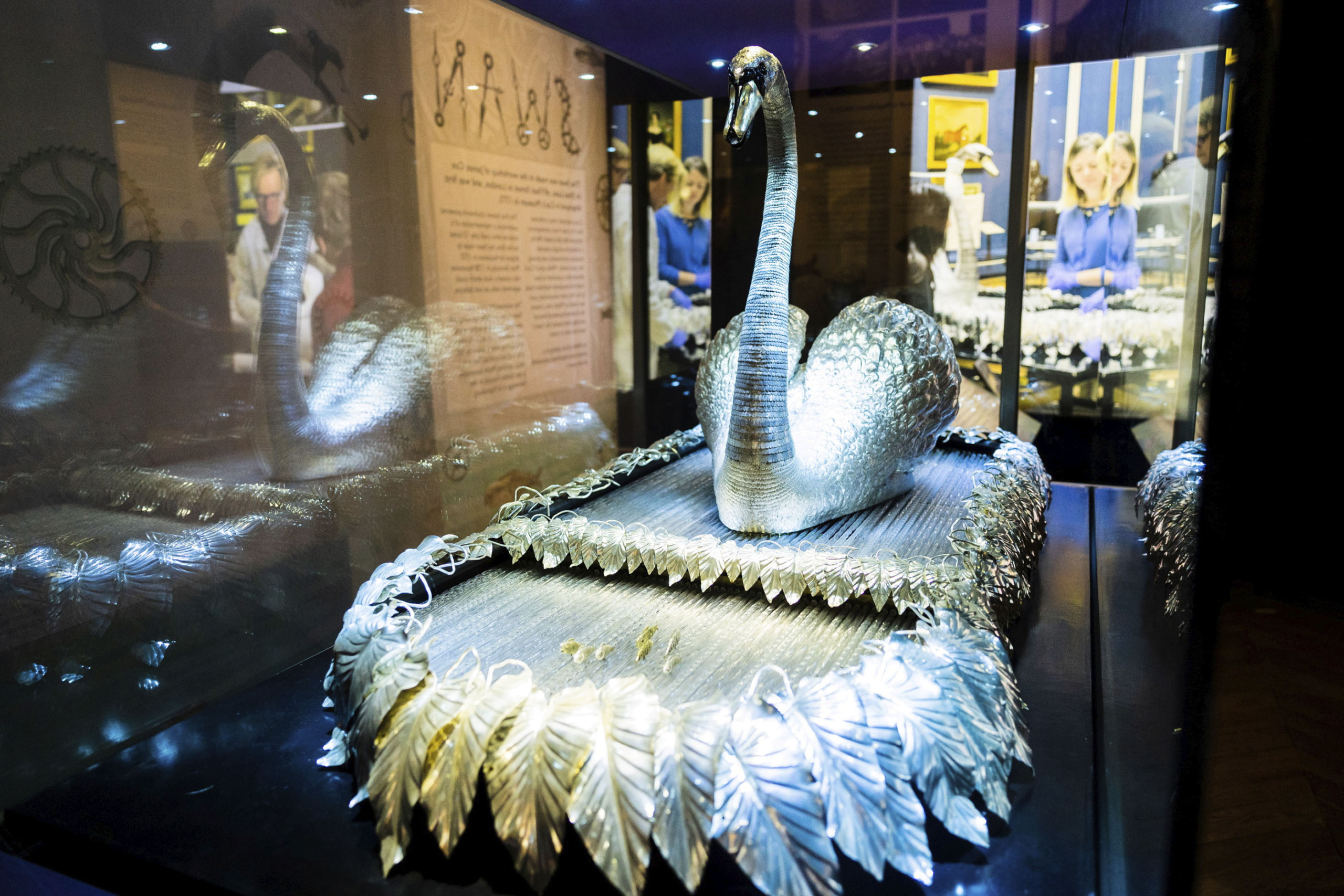 Thiên nga bạc nằm trong tủ trưng bày bằng kính tại Bảo tàng Bowes ở County Durham, Vương quốc Anh. (Ảnh: SWNS)