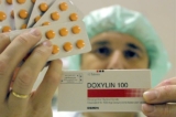 Một công nhân tại nhà máy dược phẩm Dexxon cầm một gói thuốc kháng sinh Doxylin của họ ở thị trấn Or Akiva của Israel vào ngày 8/11/2001. Doxylin là tên thương mại của Doxycycline Hydrochloride, một trong ba loại kháng sinh có hiệu quả chống nhiễm trùng bệnh than. (Ảnh: David Silverman/Getty Images)