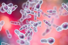 C. diff là một loại vi khuẩn có tỷ lệ nhập viện khoảng 50% và gây ra các triệu chứng bao gồm tiêu chảy, sốt và đau dạ dày. (Ảnh: Kateryna Kon/Shutterstock)