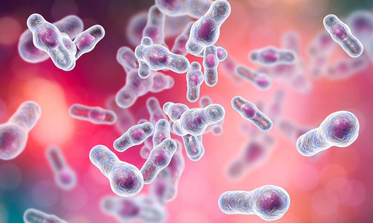 C. diff là một loại vi khuẩn có tỷ lệ nhập viện khoảng 50% và gây ra các triệu chứng bao gồm tiêu chảy, sốt và đau dạ dày. (Ảnh: Kateryna Kon/Shutterstock)