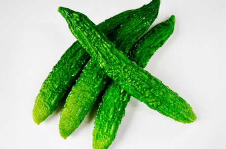 Câu chuyện Trung y: Cuộc tranh luận về trái khổ qua