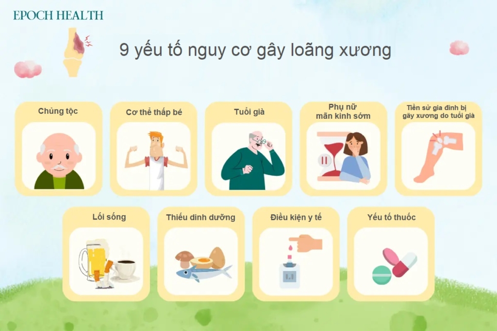 Các yếu tố nguy cơ và cách phòng loãng xương cổ xưa