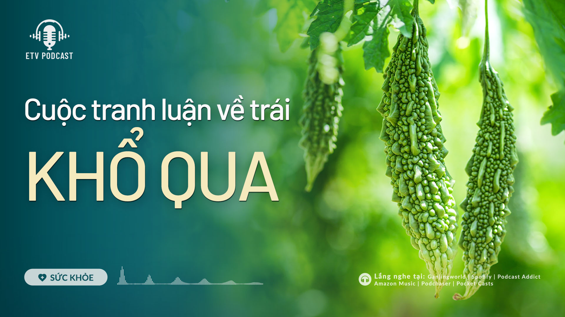 Cuộc tranh luận về trái khổ qua | Sức khỏe 
