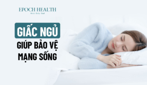 Giấc ngủ giúp bảo vệ mạng sống