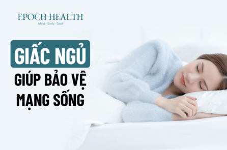 Giấc ngủ giúp bảo vệ mạng sống