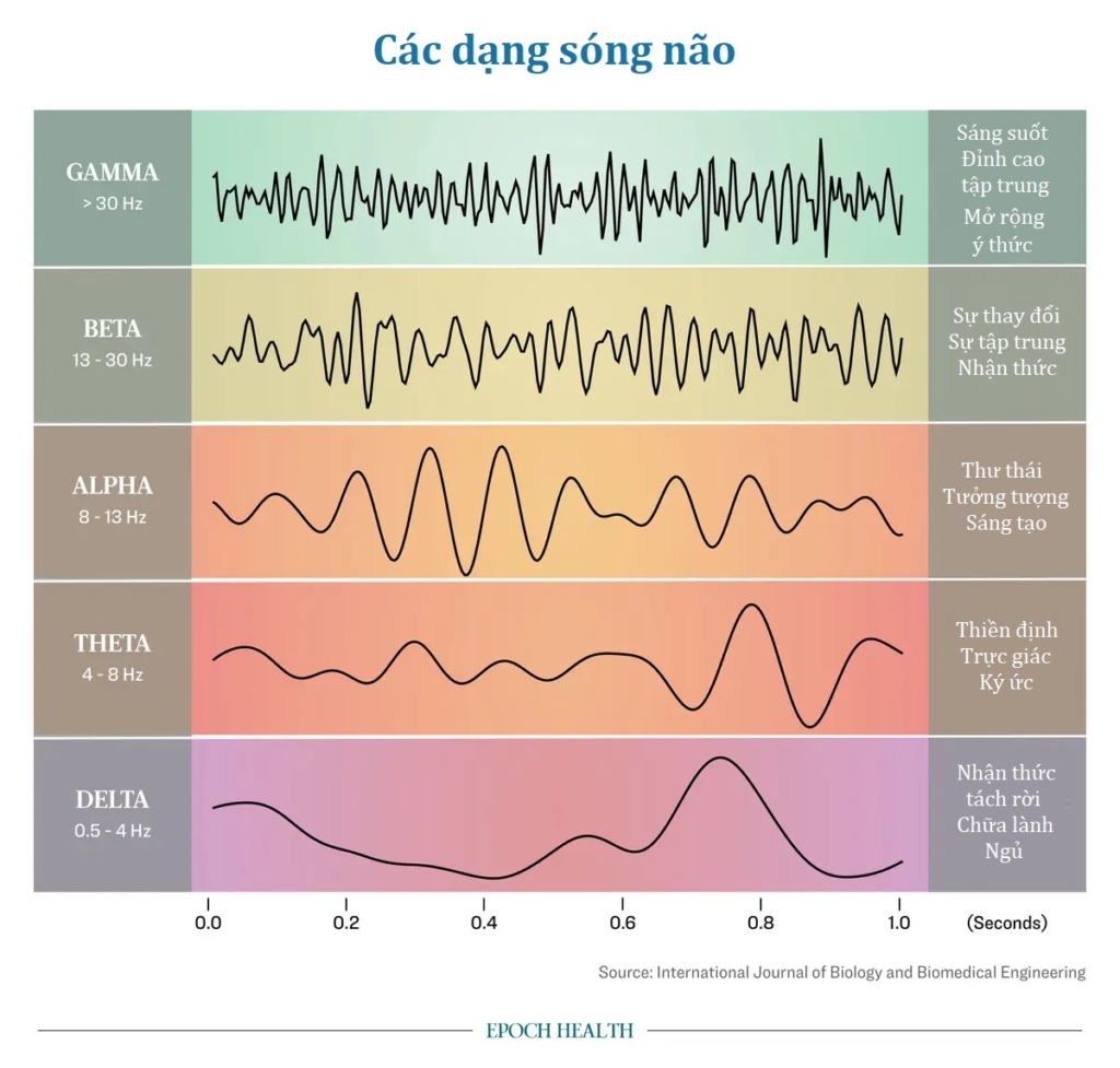 Giấc ngủ sâu 'Sóng Chậm': Chìa khóa tối ưu trí nhớ và sức khỏe cho bộ não