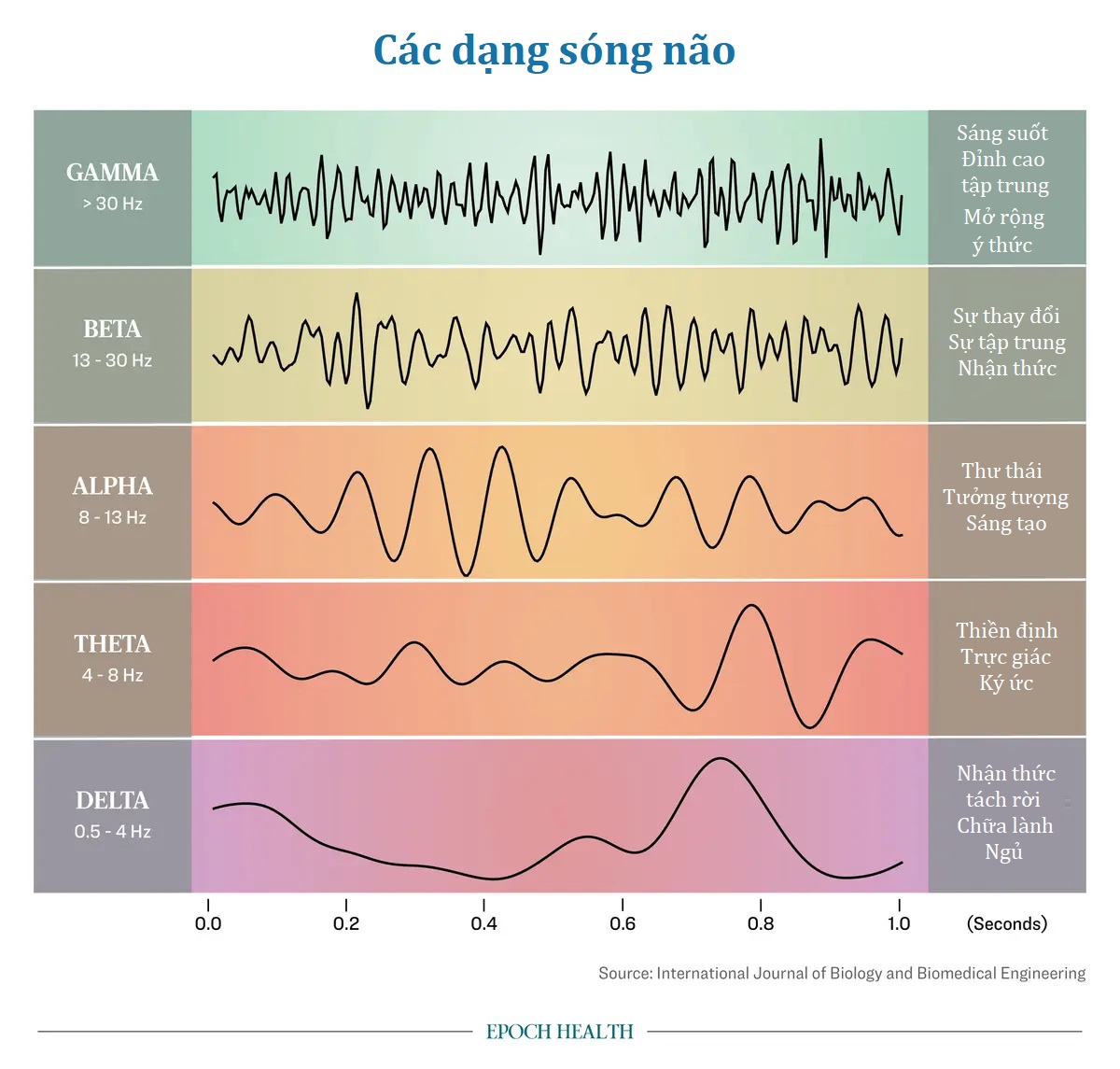 Giấc ngủ sâu ‘Sóng Chậm’: Chìa khóa tối ưu trí nhớ và sức khỏe cho bộ óc