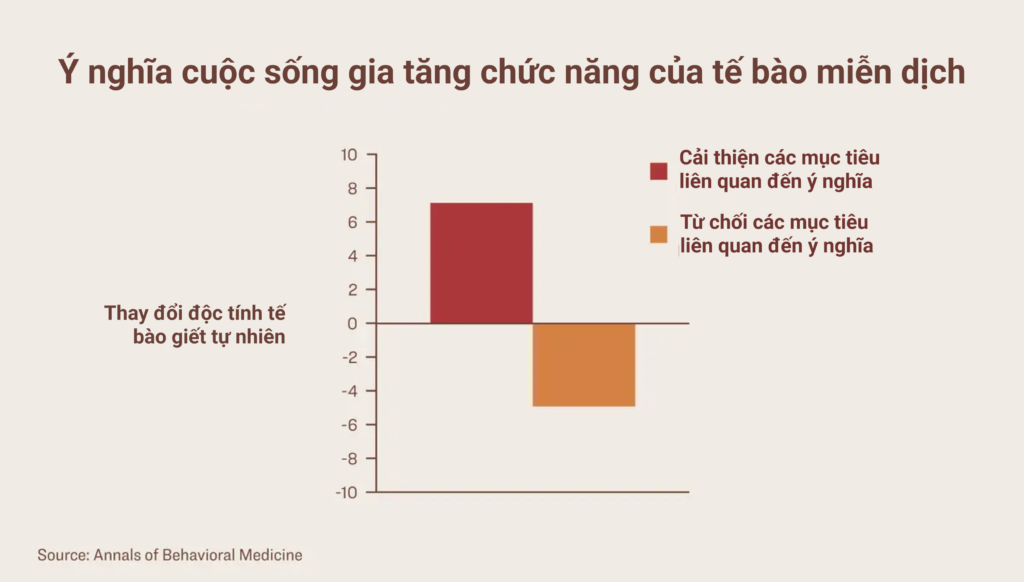 Một nghiên cứu cho thấy những người tìm thấy ý nghĩa của cuộc sống có sự gia tăng chức năng của tế bào tiêu diệt tự nhiên, một thành phần quan trọng trong hệ miễn dịch. (Ảnh: The Epoch Times)