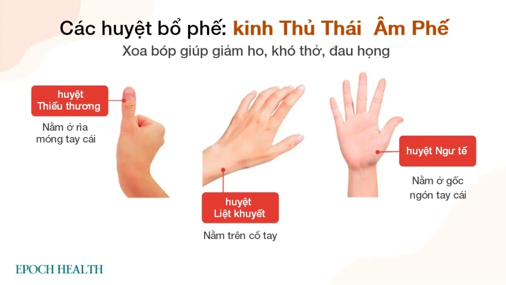 Cách ăn uống trường thọ: 6 loại thực phẩm nên ăn sau tuổi 50