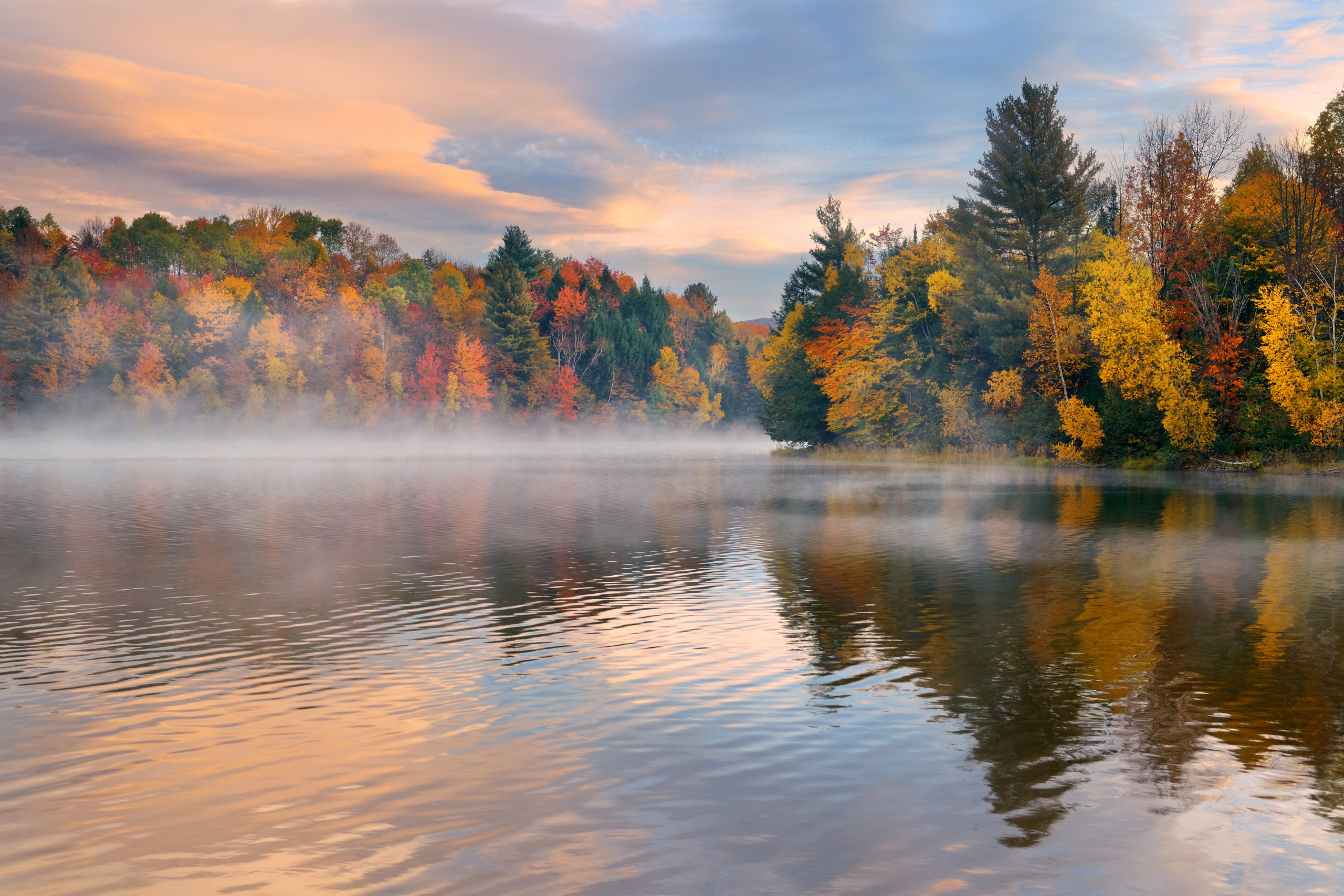 Mùa thu là mùa thích hợp để đi “ngắm lá.” (Ảnh: Shutterstock)
