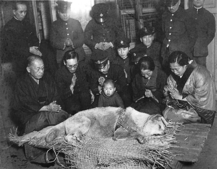 Vào ngày Hachi qua đời, mọi người đều thương tiếc bên cạnh thi thể của chú chó. (Ảnh: Tài sản công)