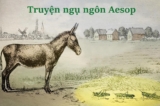 Truyện ngụ ngôn Aesop: Lừa và Châu Chấu – Quy luật tự nhiên là không thể thay đổi