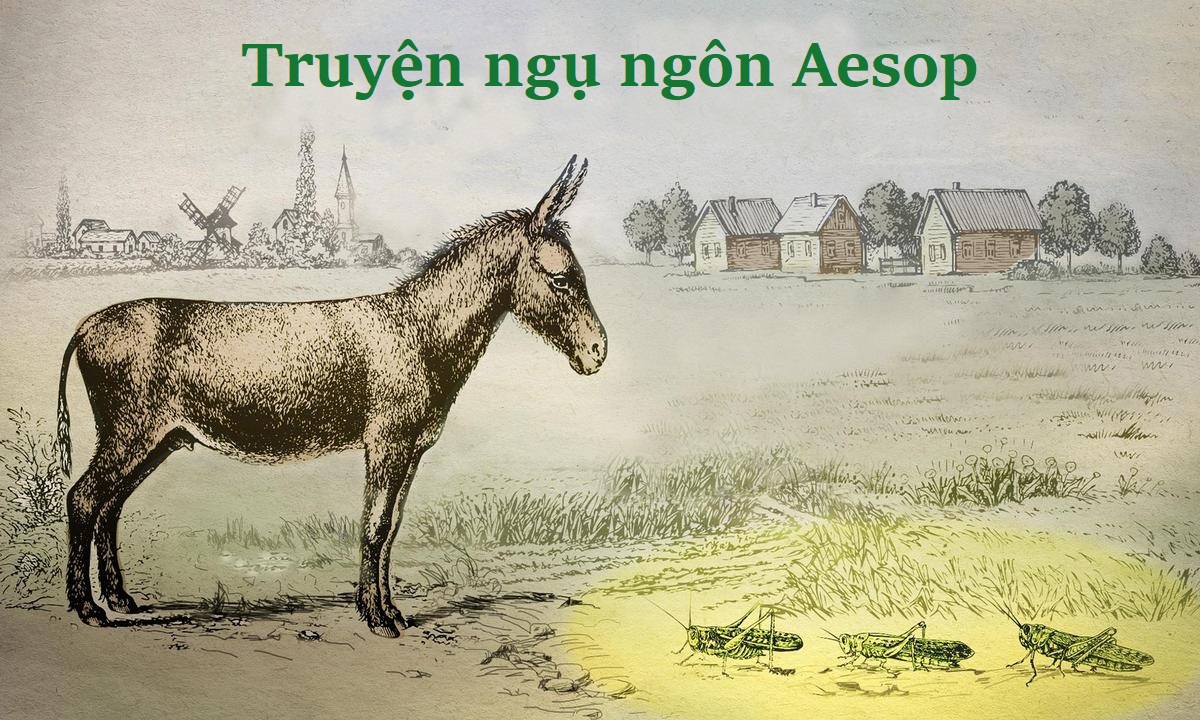 Truyện ngụ ngôn Aesop: Lừa và Châu Chấu – Quy luật tự nhiên là không thể thay đổi