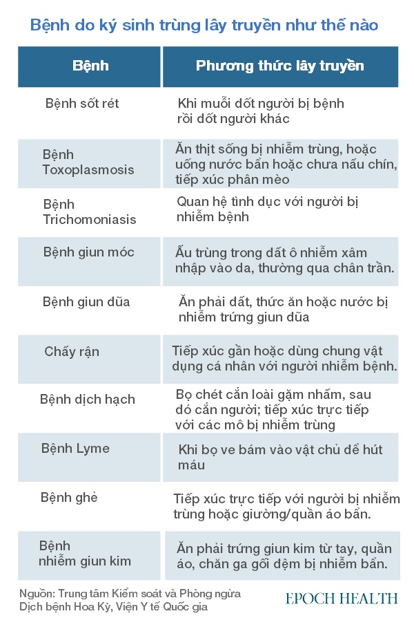 Ký sinh trùng: Mối đe dọa đối với sức khỏe bị bỏ qua và đánh giá thấp