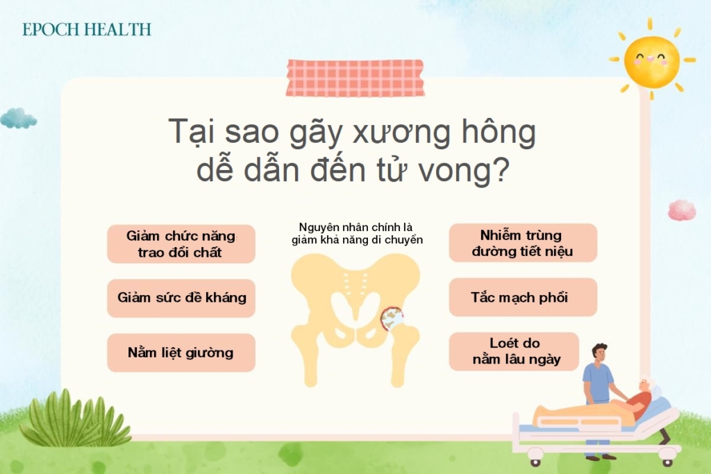 Các yếu tố nguy cơ và cách phòng loãng xương cổ xưa