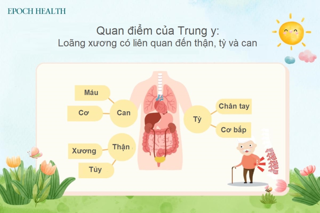 Các yếu tố nguy cơ và cách phòng loãng xương cổ xưa