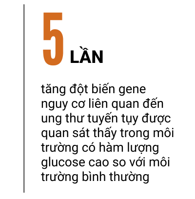 Đường cung cấp năng lượng cho tế bào ung thư như thế nào?