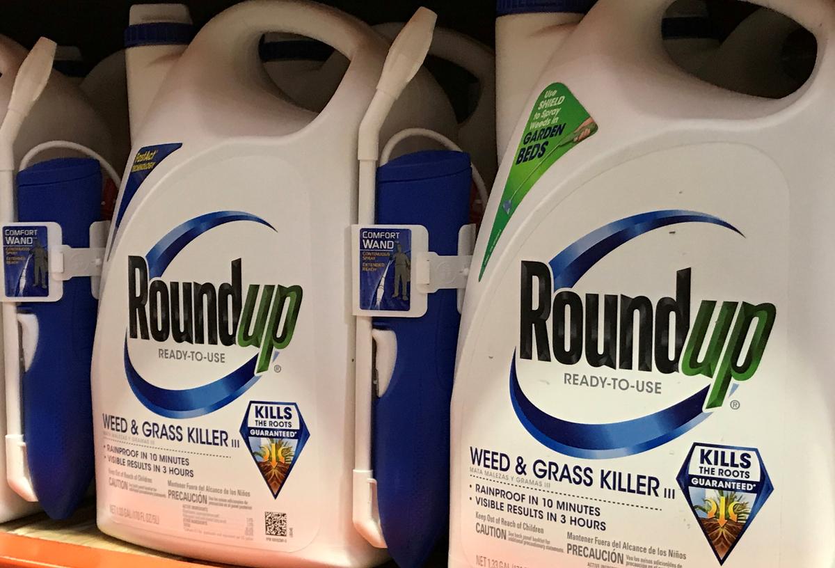 Thuốc diệt cỏ Roundup của công ty hóa chất Monsanto đang được bày bán ở Encinitas, California, vào ngày 26/06/2017. (Ảnh: Mike Blake/Reuters)