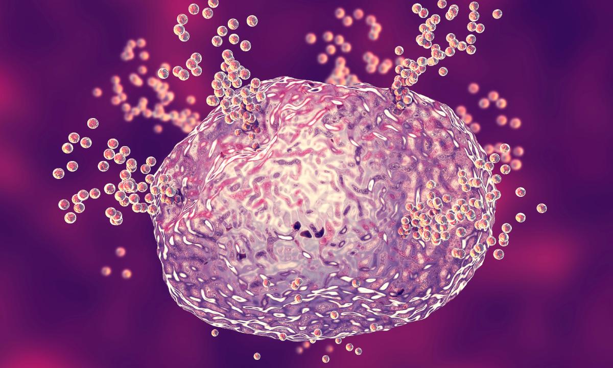 Mọi thứ ‘có thể là kẻ thù’: Hội chứng tế bào mast hậu vaccine được báo cáo